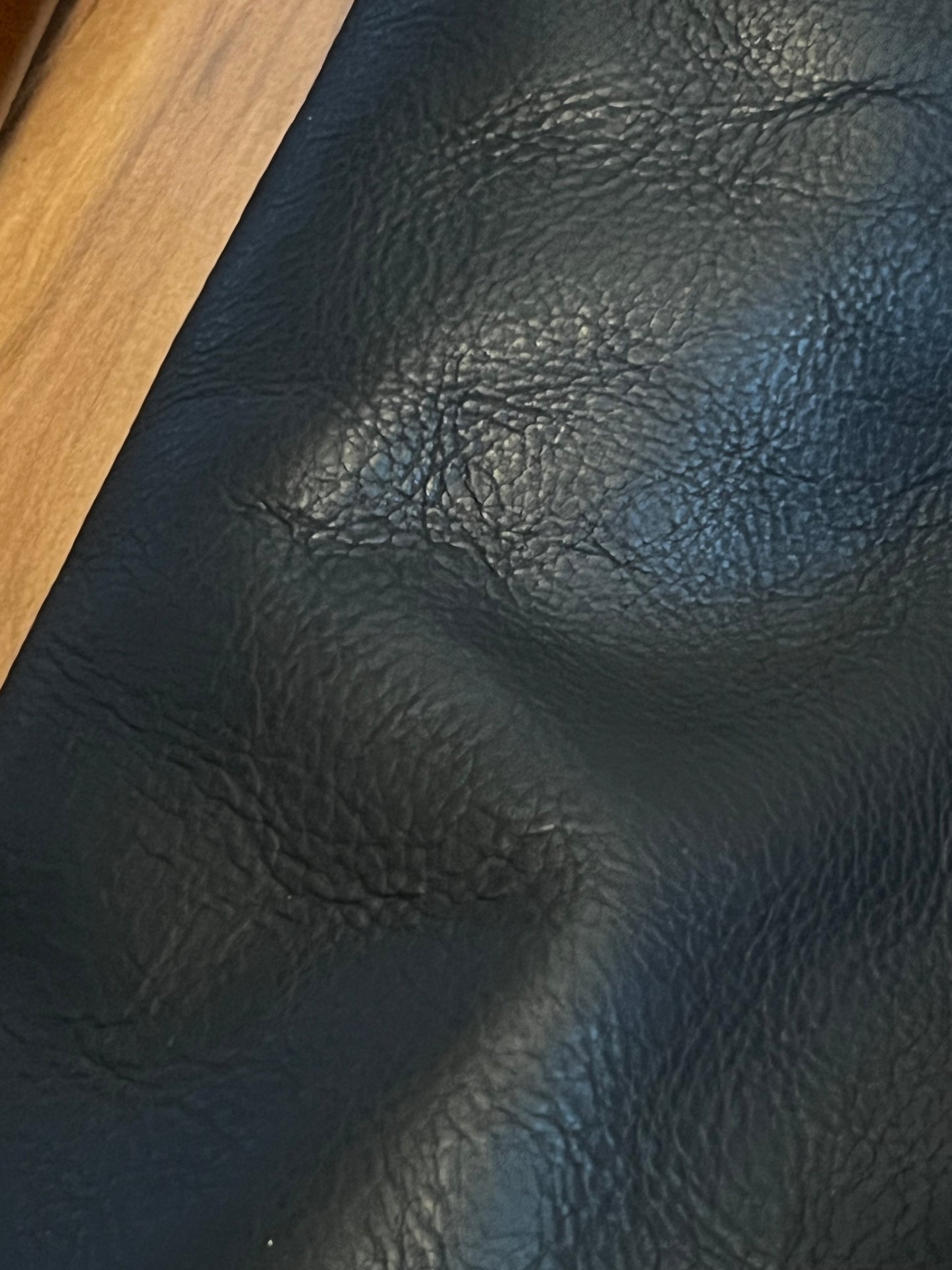 Black Bison