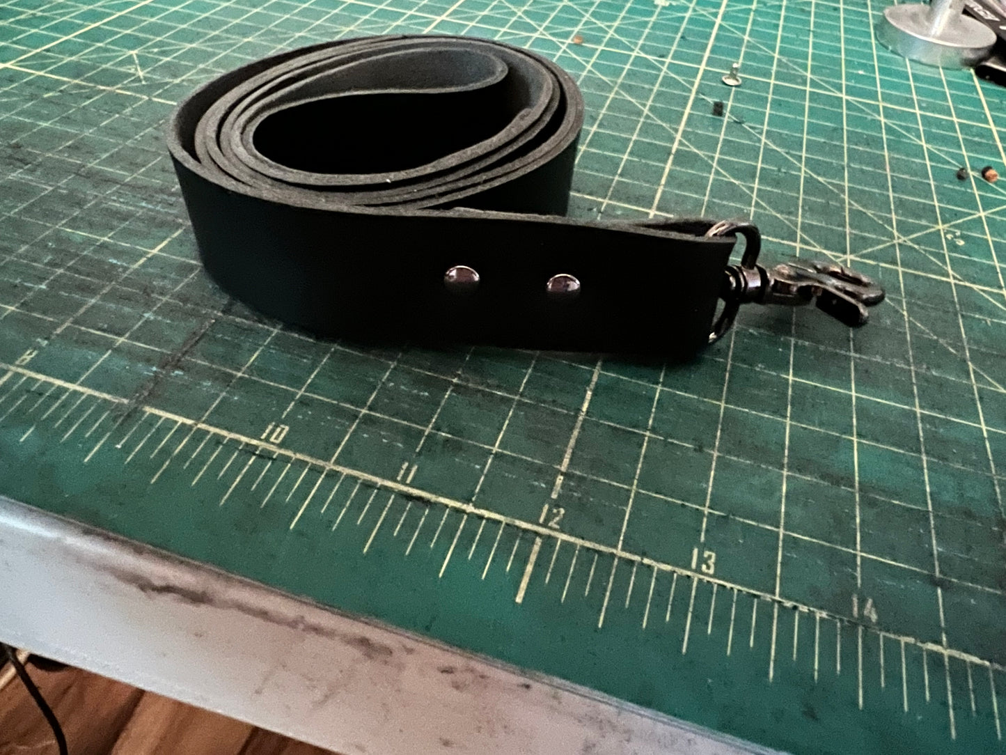 Leather Collar and Leash with gunmetal ring and clasp